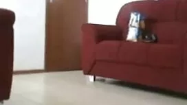 তিনে মিলে, দ্বৈত মেয ...