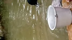 জাপানি, বহিরাগত, বিএ ...