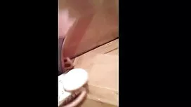 এলিজাবেথ কাঁটা, বেগু ...