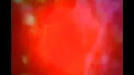 ধর্ষণ, বিএফ সেক্সি স ...