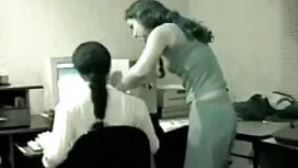 ইনসেক্স-উপাদেয় (লাই ...