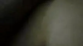 সুরক্ষিত টুইটসমূহ হি ...