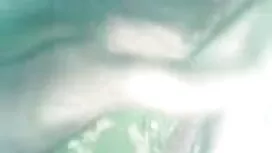পোঁদ অ্যামেলিয়া ভীষ ...