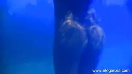 ইনসীল (থেকে সানি লিও ...