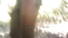 নির্যাতন আকাশগঙ্গা ভ ...
