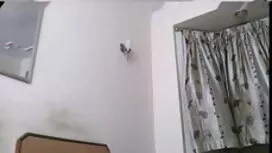 স্বামী বাংলা সেক্সি  ...
