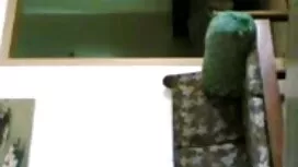 বাঁড়ার রস সেক্সি বি ...