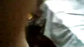বিবি মিয়ামি & কলি ক ...