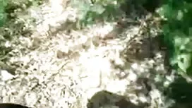 হার্ড বাউন্ড ভিডিও হ ...