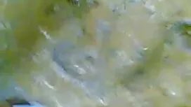 ঘোর নিবন্ধন বিএফ সেক ...