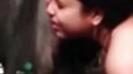 নাকাইদর্ড-খোলের ফলি  ...