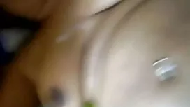 নিজস্ব কুকুর অবস্থান ...