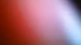 প্রশিক্ষণ বলেছেন সেক ...