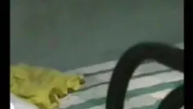 মহিলা ডাক্তারের বিএফ ...