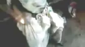 বৈধ ভন যৌন মর্যাদাহা ...