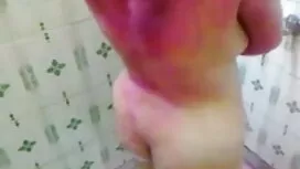 এলিস কবর, মিকি ইংলিশ ...