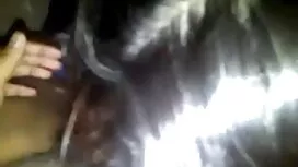 সুন্দরী বালিকা, বাঁড ...