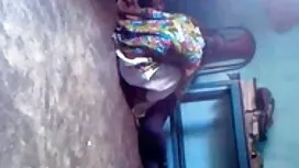 নাকিস-এলিস চিপা (01  ...