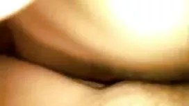 ইনেক্স-সঙ্কুচিত বিএফ ...