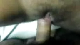 ম্যাট উইলিয়ামস ডার্ ...