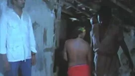 নিবন্ধন # 11 সেক্সি  ...