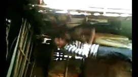 ফেব্রুয়ারী 15, 2016 ...