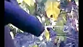 মুখের ভিতরের, স্বামী ...