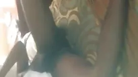 এক্সক্লুসিভ সংগ্রহ ই ...