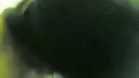 দাসত্ব, ক্রীতদাস, ভো ...