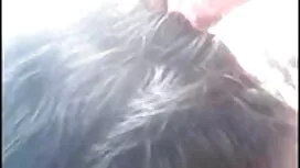 হার্লে টেক্কা-ব্যথা  ...