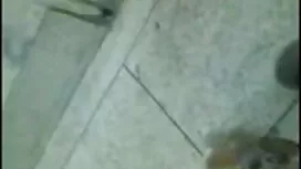 স্বর্ণকেশী ভিডিও সেক ...