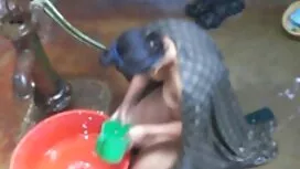 Harperesque বিএফ সেক ...