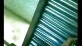 নাকিসোর্ড-এলিস টাট্ট ...