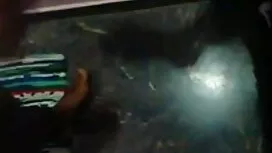 দুর্দশা শ্যামাঙ্গিণী ...