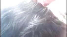 ইনসেক্স - আঙ্কেল পি  ...
