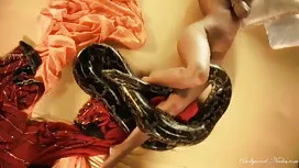 অবমাননাকর হিন্দি সেক ...