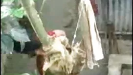 গুদ, মেয়ে বাঁড়ার,  ...