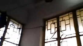 এস-ডি-মাছি সেক্স সেক ...