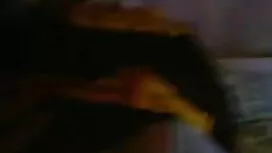 স্বামী ও স্ত্রী সেক্ ...