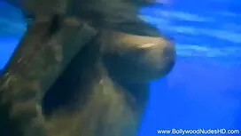 উদ্ভট হাইলাইট সেক্সি ...