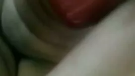 নাকিসেডোর্ড - লাল ঘো ...
