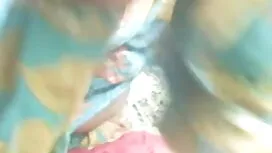 পর্নোতারকা, বিএফ সেক ...