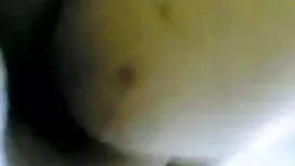দাসত্ব বিড়ালছানা (1 ...