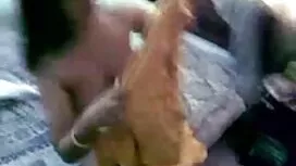 দেভিশায়ার মূর বিএফ  ...