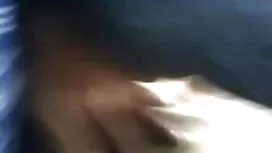 বিস্ময়কর এবং খারাপ  ...