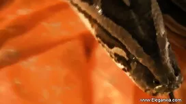 সুন্দরি সেক্সি মহিলা ...