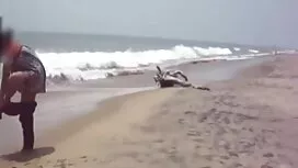 সুন্দরি বিএফ সেক্সি  ...
