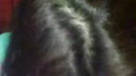 ইনসেক্স-মঙ্গলবার (লা ...