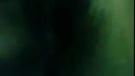 মাস্টার শৃঙ্খলা বিএফ ...