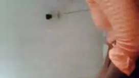 ইনসেক্স-সি ' স লাইভ  ...
